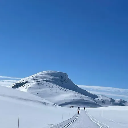 Sentralt Pa דירה Beitostolen